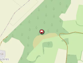 Carte de Cossou Denis à Pintac