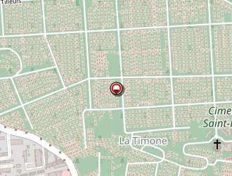 Carte de Siani Rosario à Marseille