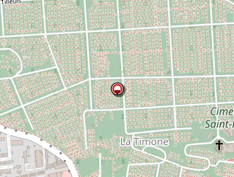 Carte de Domino Services à Marseille