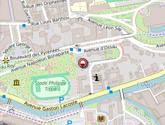 Carte de Hot Vidéo Store à Pau