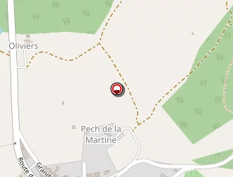 Carte de Bac T.p à Saint-martin-le-vieil