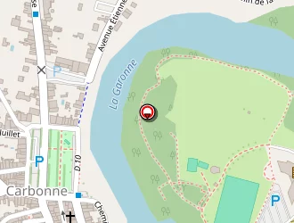 Carte de Ronchini Catherine à Carbonne