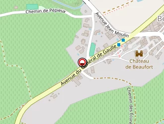 Carte de Bejot Mathilde à Beaufort