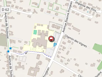 Carte de Leader Price à Carbonne