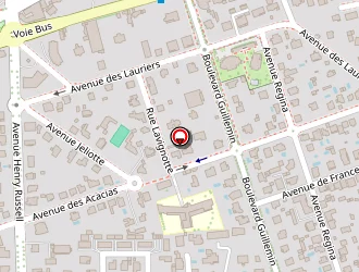 Carte de Cevesse Florence à Pau