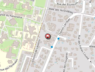 Carte de Aribit Auger à Pau