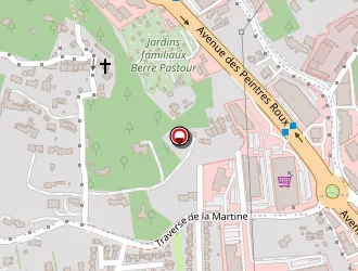 Carte de Speedy à Marseille