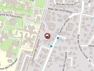 Carte de Rico Alain à Pau