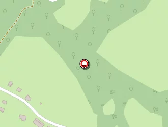 Carte de Ali Andoni à Sare