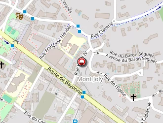 Carte de Gedone Services à Billère