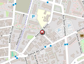 Carte de Pressing Thiers à Pau