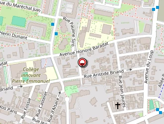 Carte de Les Cours De L'adour à Pau