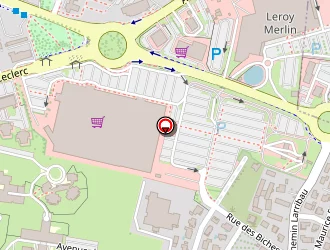 Carte de Lamy Virginie à Pau