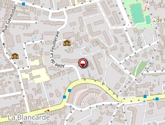 Carte de A.r.a.i.m.c à Marseille