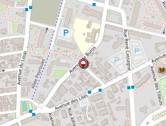 Carte de Centre Enseignement Soins Esthétiques Multimédia à Pau