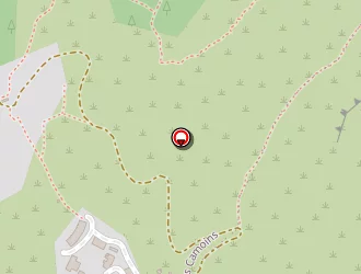 Carte de Tranchino Marc à Marseille