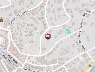 Carte de Bornand Eric à Sainte-maxime