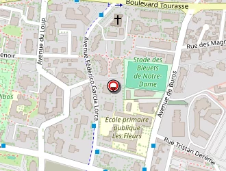 Carte de Amaphone Service à Pau