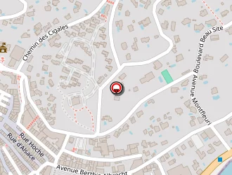 Carte de Guesnier Patrick à Sainte-maxime