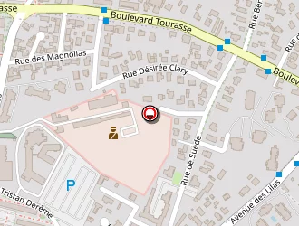 Carte de Pinson Alexandre à Pau