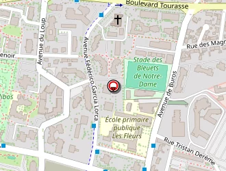 Carte de Karachev Alexi à Pau