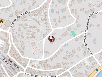 Carte de Societe Pimp à Sainte-maxime