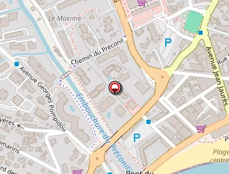 Carte de Sushi Dragon à Sainte-maxime