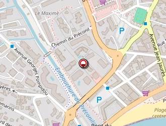 Carte de Octopus à Sainte-maxime