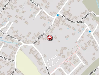 Carte de Distinxion Garage Robert à Lons