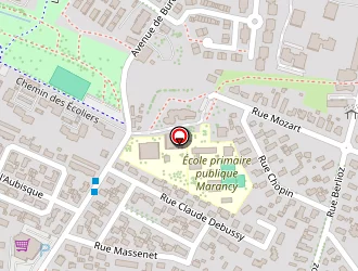 Carte de Lamude Alain à Pau