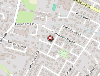 Carte de Trail Runner Foundation à Pau