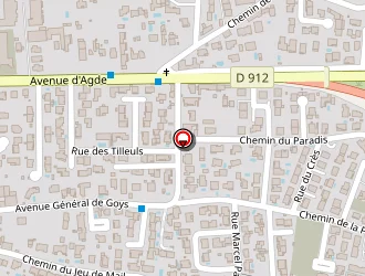 Carte de Brunel Jocelyn à Vias