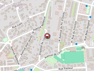 Carte de Ioana Neacsiu à Billère