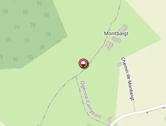 Carte de Monbeigt Gilbert à Ogenne-camptort
