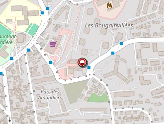 Carte de Papikian Vagharshak à Marseille