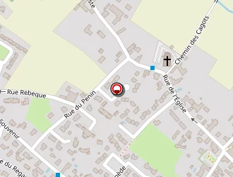 Carte de 13 Roses Bleues à Lons