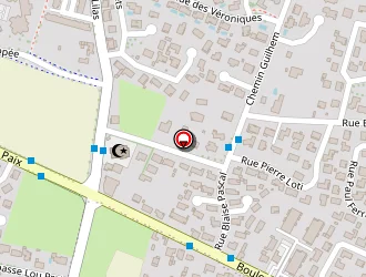 Carte de Faussat Gérard à Pau