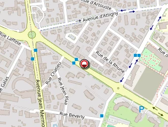 Carte de Taxi Will à Pau