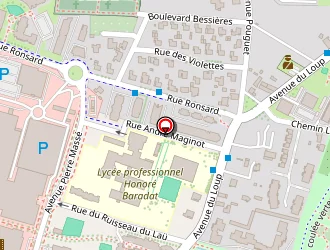 Carte de Police à Pau