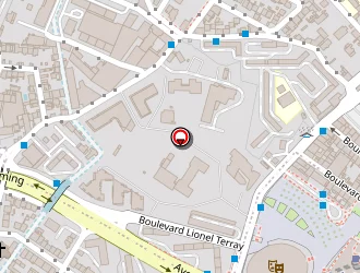 Carte de Doghmane Hichem à Marseille