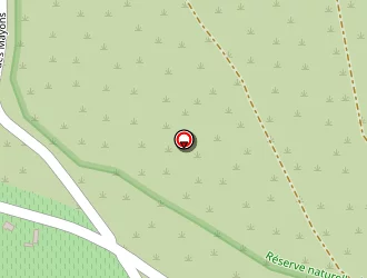 Carte de Trans'anim Mediterranee à Mayons (les)