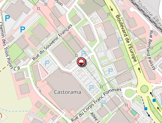 Carte de Norauto à Lescar