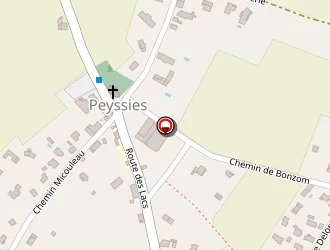 Carte de Srms à Peyssies