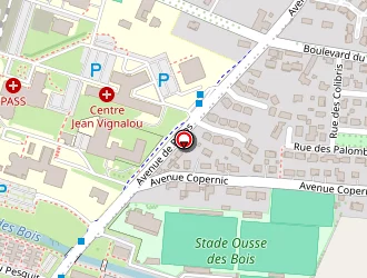 Carte de Boyer Elisabeth à Pau