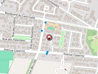 Carte de Cabinet Conscientia à Pau