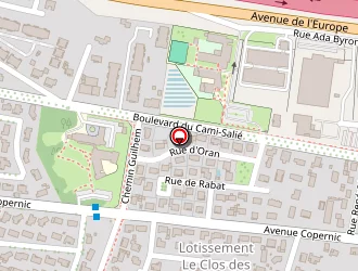 Carte de Balutet Catherine à Pau