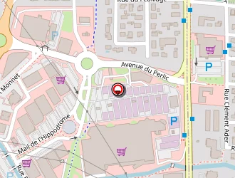 Carte de Auto Passion 64 à Lons