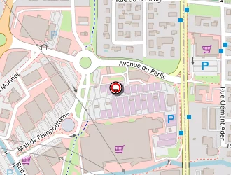 Carte de Garage Plansson à Lons