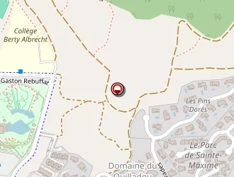 Carte de Pizza Lili à Sainte-maxime