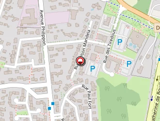 Carte de Taxi Nicolas à Pau